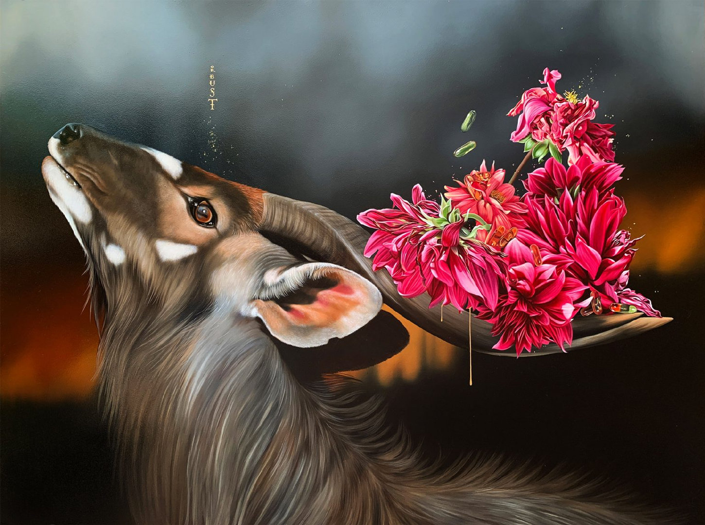 艺术家josiemorway超现实主义动物插画欣赏