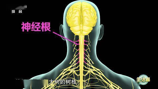 脖子僵硬你以为是吹空调吹的?注意!可能是这里病了休闲区蓝鸢梦想 - Www.slyday.coM 脖子僵硬你以为是吹空调吹的?注意!可能是这里病了休闲区蓝鸢梦想 - Www.slyday.coM