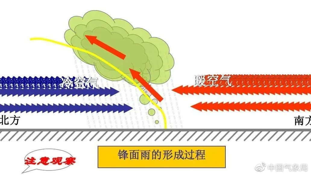 盘点"暴雨家族":不同个性的它,你了解吗?