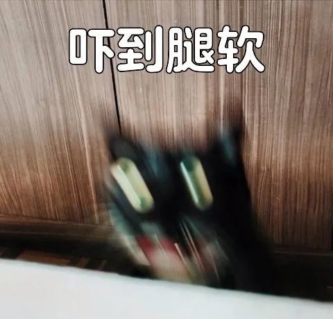 网友第一次买房,被吓得腿发软,房子都不想要了|连廊|匿名|电梯_新浪