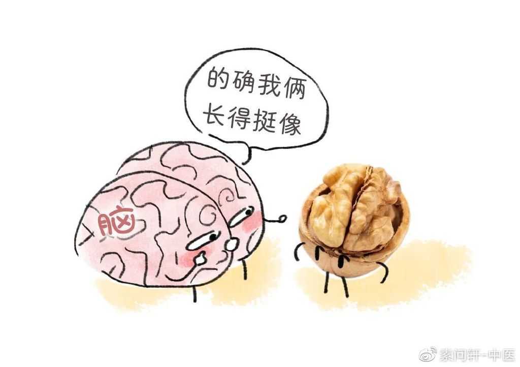 补脑最厉害的食物,核桃只排第4名,第1名谁都想不到!__财经头条