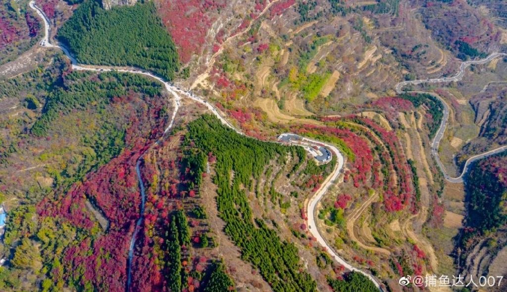 济南免费赏红叶“天花板”，盘山+赏红叶，一条线路就go了！休闲区蓝鸢梦想 - Www.slyday.coM