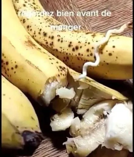 香蕉中出现了72小时内致死的螺杆菌蠕虫这是菌还是虫