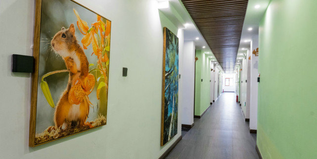 十一长假去哪?北京自驾4小时有个七彩森林,带上家人能畅玩3天休闲区蓝鸢梦想 - Www.slyday.coM 十一长假去哪?北京自驾4小时有个七彩森林,带上家人能畅玩3天休闲区蓝鸢梦想 - Www.slyday.coM