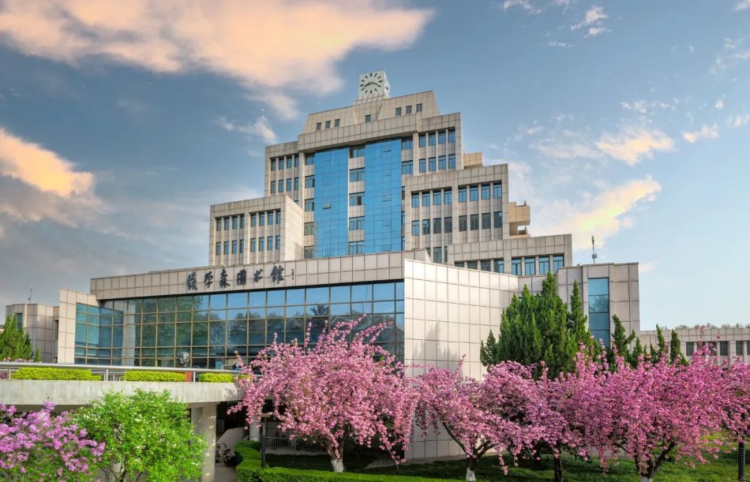 春日校花大赏仙交樱花