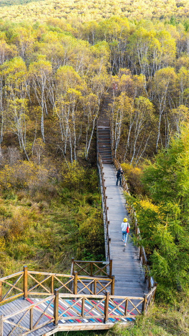 十一长假去哪?北京自驾4小时有个七彩森林,带上家人能畅玩3天休闲区蓝鸢梦想 - Www.slyday.coM 十一长假去哪?北京自驾4小时有个七彩森林,带上家人能畅玩3天休闲区蓝鸢梦想 - Www.slyday.coM