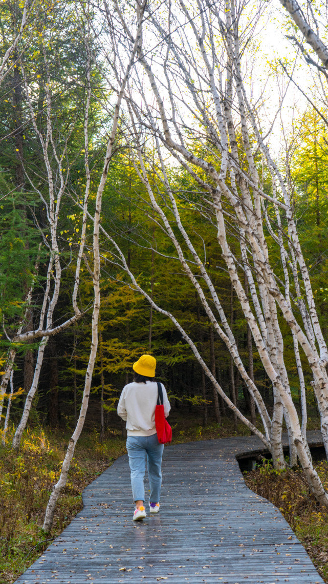 十一长假去哪?北京自驾4小时有个七彩森林,带上家人能畅玩3天休闲区蓝鸢梦想 - Www.slyday.coM 十一长假去哪?北京自驾4小时有个七彩森林,带上家人能畅玩3天休闲区蓝鸢梦想 - Www.slyday.coM