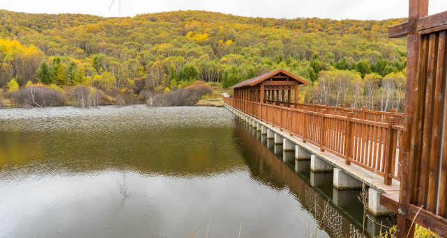 十一长假去哪?北京自驾4小时有个七彩森林,带上家人能畅玩3天休闲区蓝鸢梦想 - Www.slyday.coM 十一长假去哪?北京自驾4小时有个七彩森林,带上家人能畅玩3天休闲区蓝鸢梦想 - Www.slyday.coM