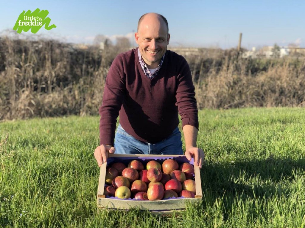 wdcp 导入数据库