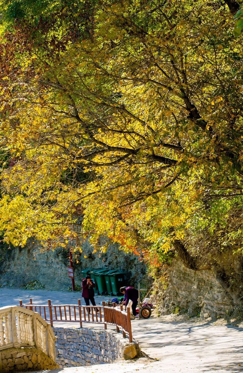 济南免费赏红叶“天花板”，盘山+赏红叶，一条线路就go了！休闲区蓝鸢梦想 - Www.slyday.coM