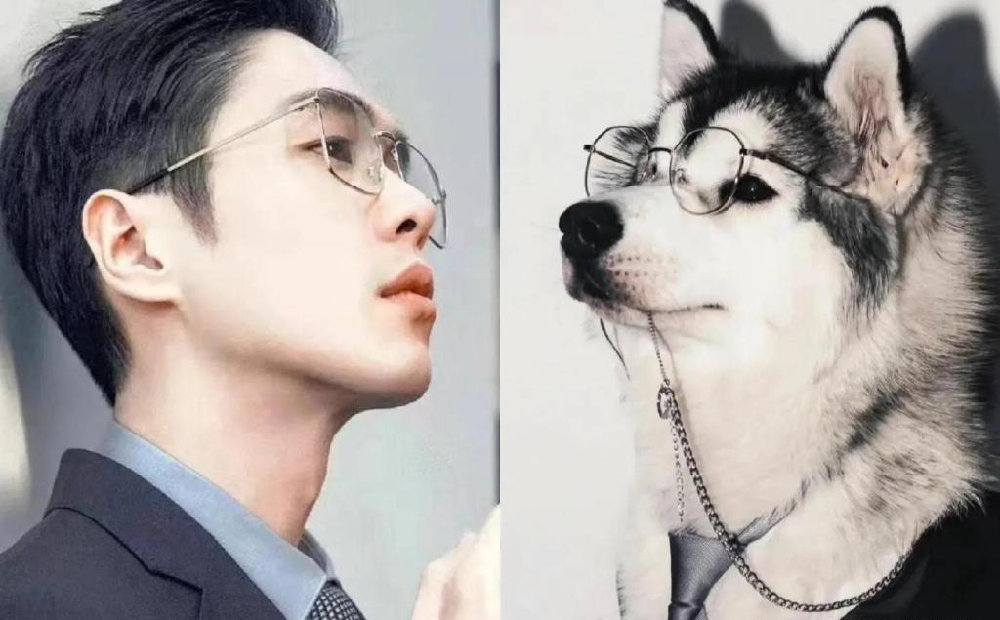 动物系男明星有多离谱？肖战兔系，猴系帅哥多，看到虾系绷不住了休闲区蓝鸢梦想 - Www.slyday.coM