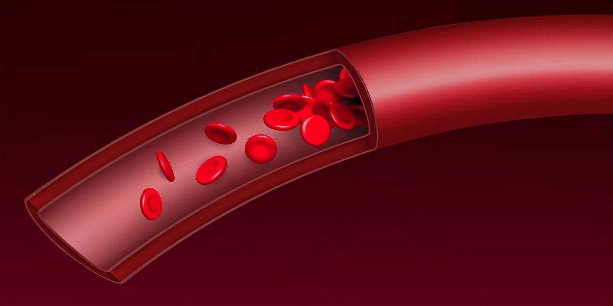 吃素到底健不健康?长期吃素,对身体有哪些影响?告诉你答案休闲区蓝鸢梦想 - Www.slyday.coM 吃素到底健不健康?长期吃素,对身体有哪些影响?告诉你答案休闲区蓝鸢梦想 - Www.slyday.coM