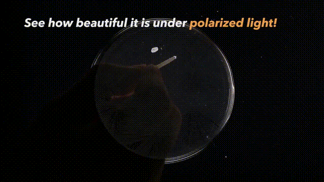 “天宫课堂”第二课你看懂了吗？哪些实验家里也能做？休闲区蓝鸢梦想 - Www.slyday.coM