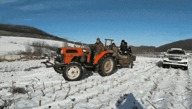 640_362gif 动态图 动图