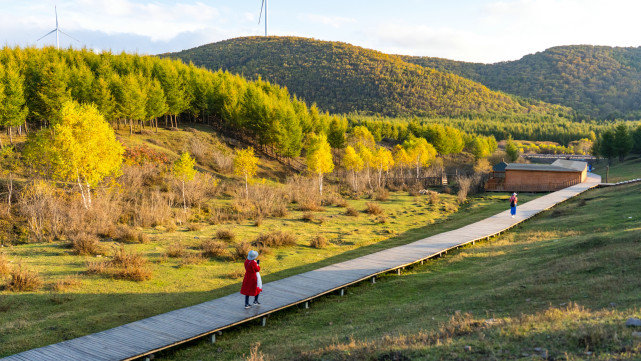 十一长假去哪?北京自驾4小时有个七彩森林,带上家人能畅玩3天休闲区蓝鸢梦想 - Www.slyday.coM 十一长假去哪?北京自驾4小时有个七彩森林,带上家人能畅玩3天休闲区蓝鸢梦想 - Www.slyday.coM