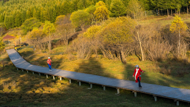 十一长假去哪?北京自驾4小时有个七彩森林,带上家人能畅玩3天休闲区蓝鸢梦想 - Www.slyday.coM 十一长假去哪?北京自驾4小时有个七彩森林,带上家人能畅玩3天休闲区蓝鸢梦想 - Www.slyday.coM