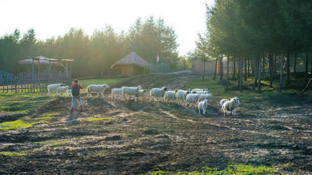十一长假去哪?北京自驾4小时有个七彩森林,带上家人能畅玩3天休闲区蓝鸢梦想 - Www.slyday.coM 十一长假去哪?北京自驾4小时有个七彩森林,带上家人能畅玩3天休闲区蓝鸢梦想 - Www.slyday.coM