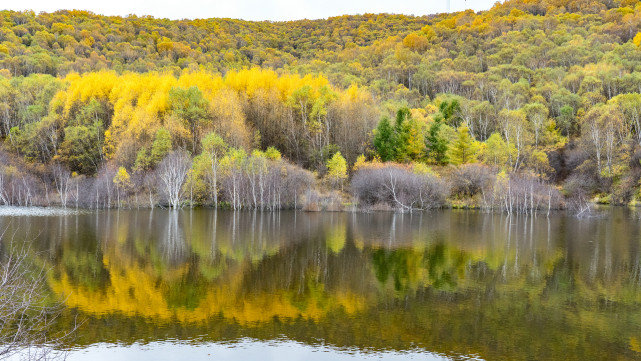 十一长假去哪?北京自驾4小时有个七彩森林,带上家人能畅玩3天休闲区蓝鸢梦想 - Www.slyday.coM 十一长假去哪?北京自驾4小时有个七彩森林,带上家人能畅玩3天休闲区蓝鸢梦想 - Www.slyday.coM