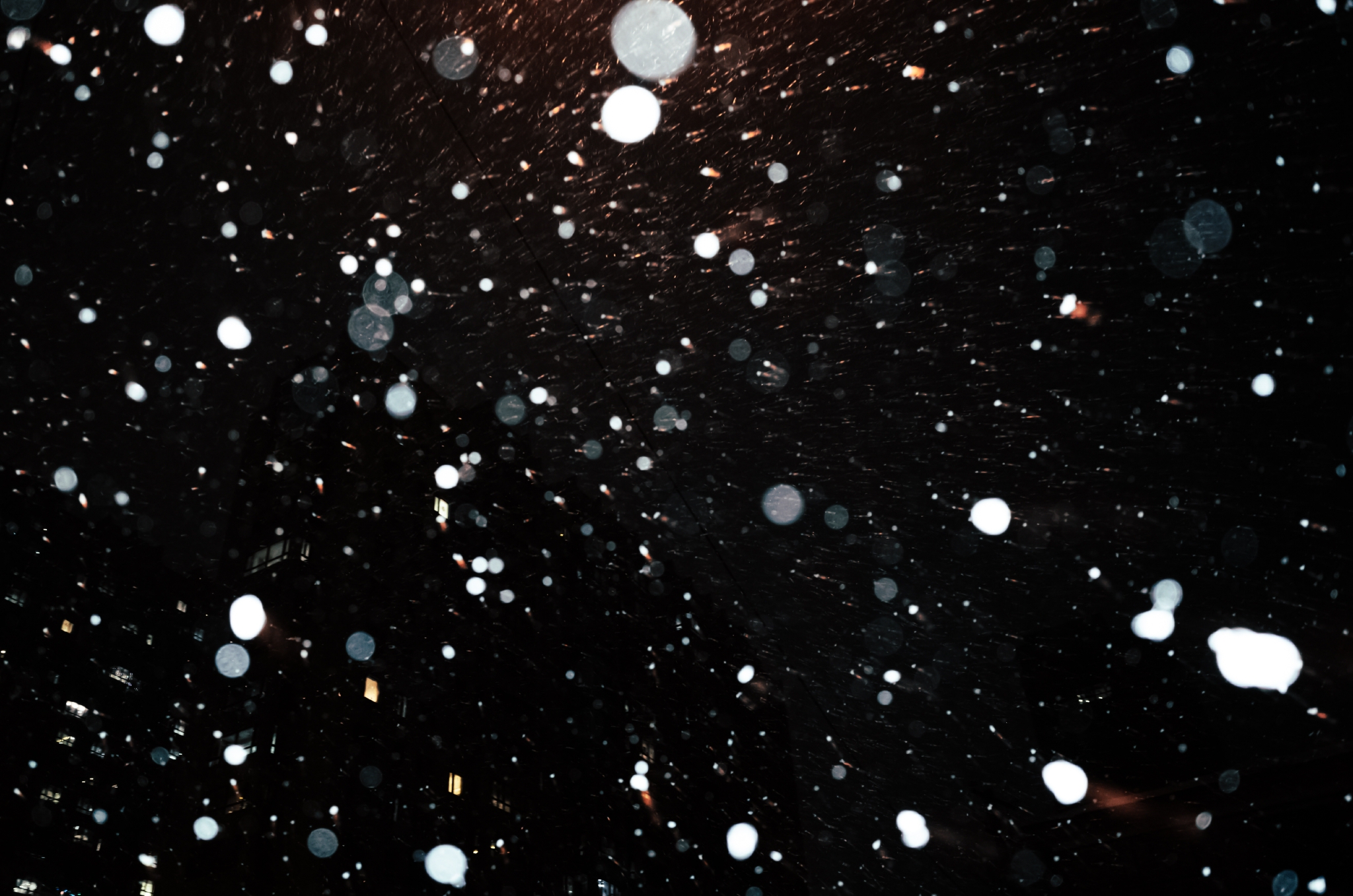 漫天飞雪 平安喜乐__财经头条