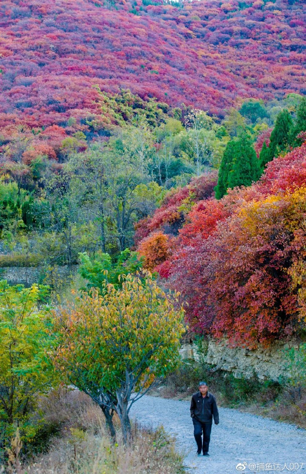 济南免费赏红叶“天花板”，盘山+赏红叶，一条线路就go了！休闲区蓝鸢梦想 - Www.slyday.coM