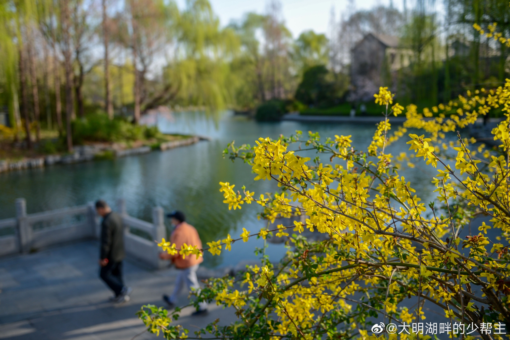 大明湖的春天|摄影|风光|chenyan77777 - 原创作品 - 站酷 (ZCOOL)