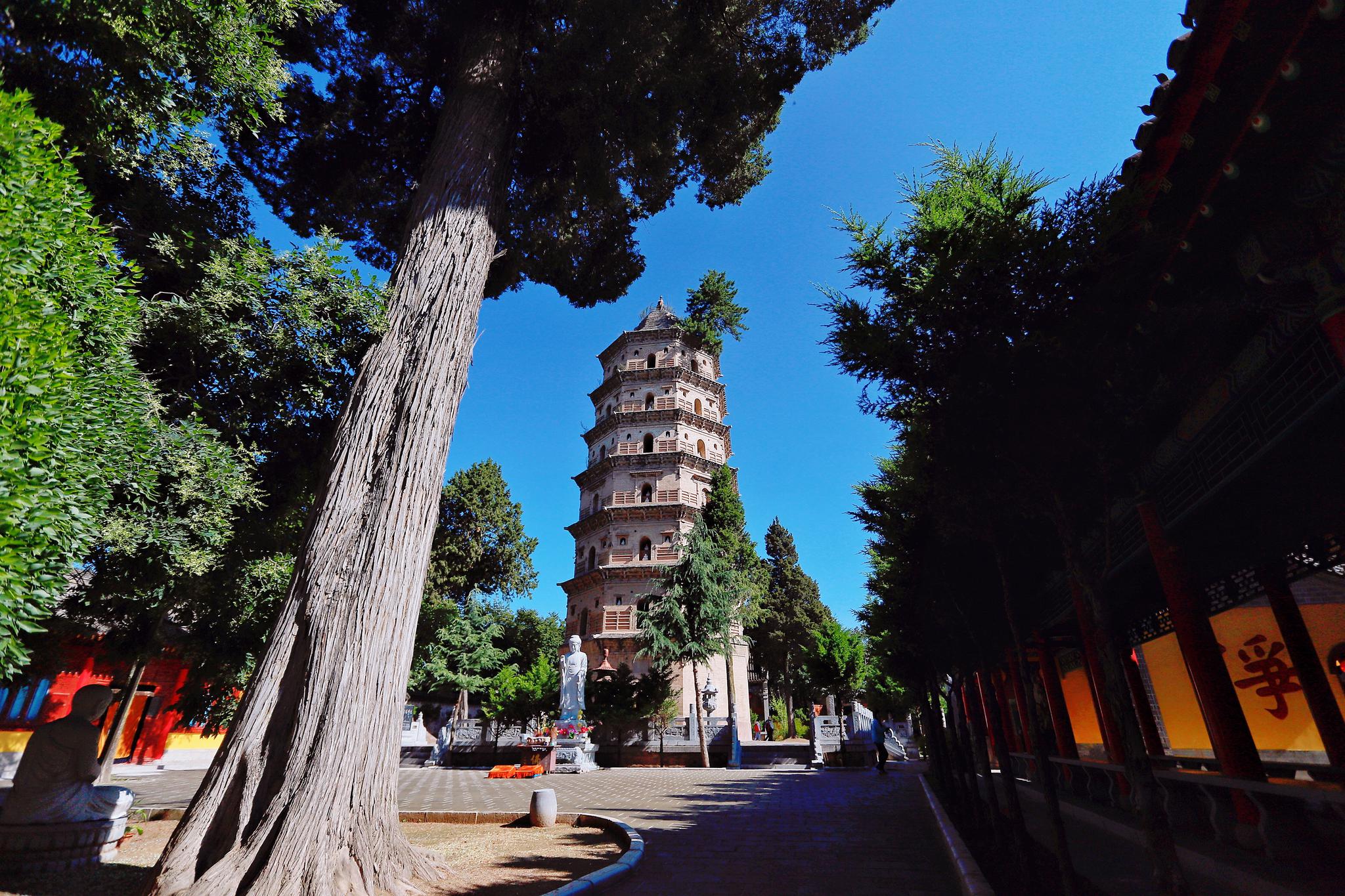 凌空塔上一直生长有两棵百年松树,构成了"古塔托松"的美景
