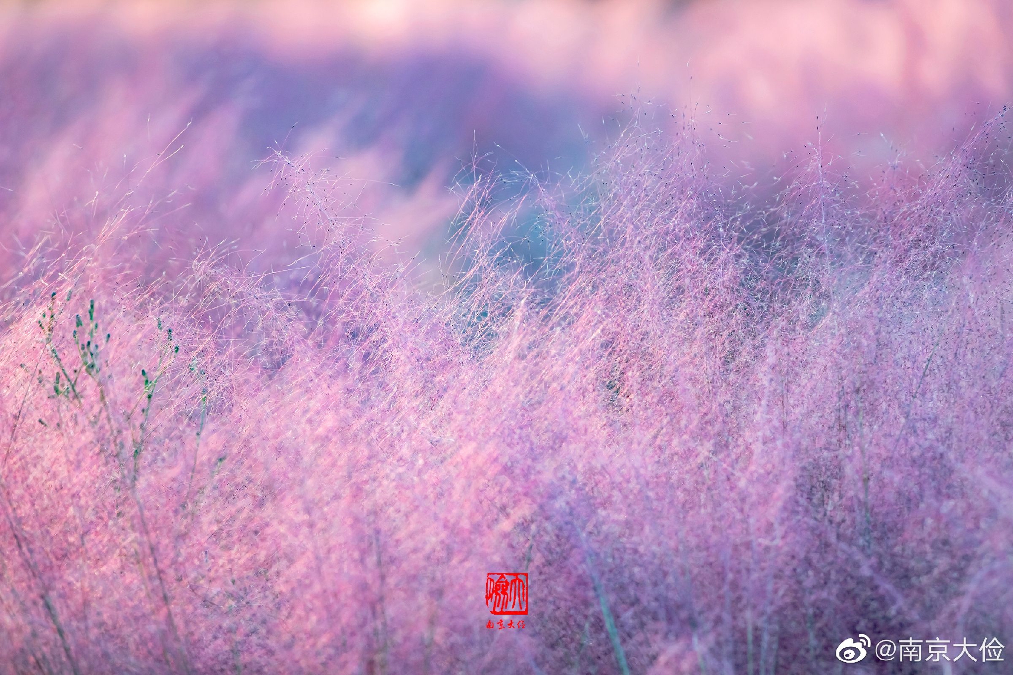 SEO分析脸型眉形设计