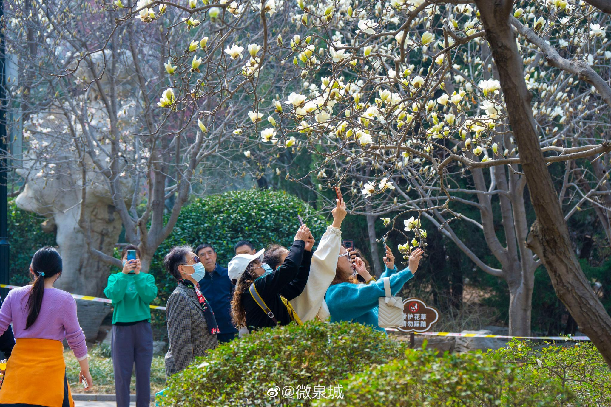 阳春四月百花绽放，济南人最喜欢的撒欢之地，遇见春天最美的模样_百科TA说