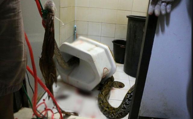 男子在家蹲马桶,突然感觉下面凉飕飕的,一看马上打了急救电话