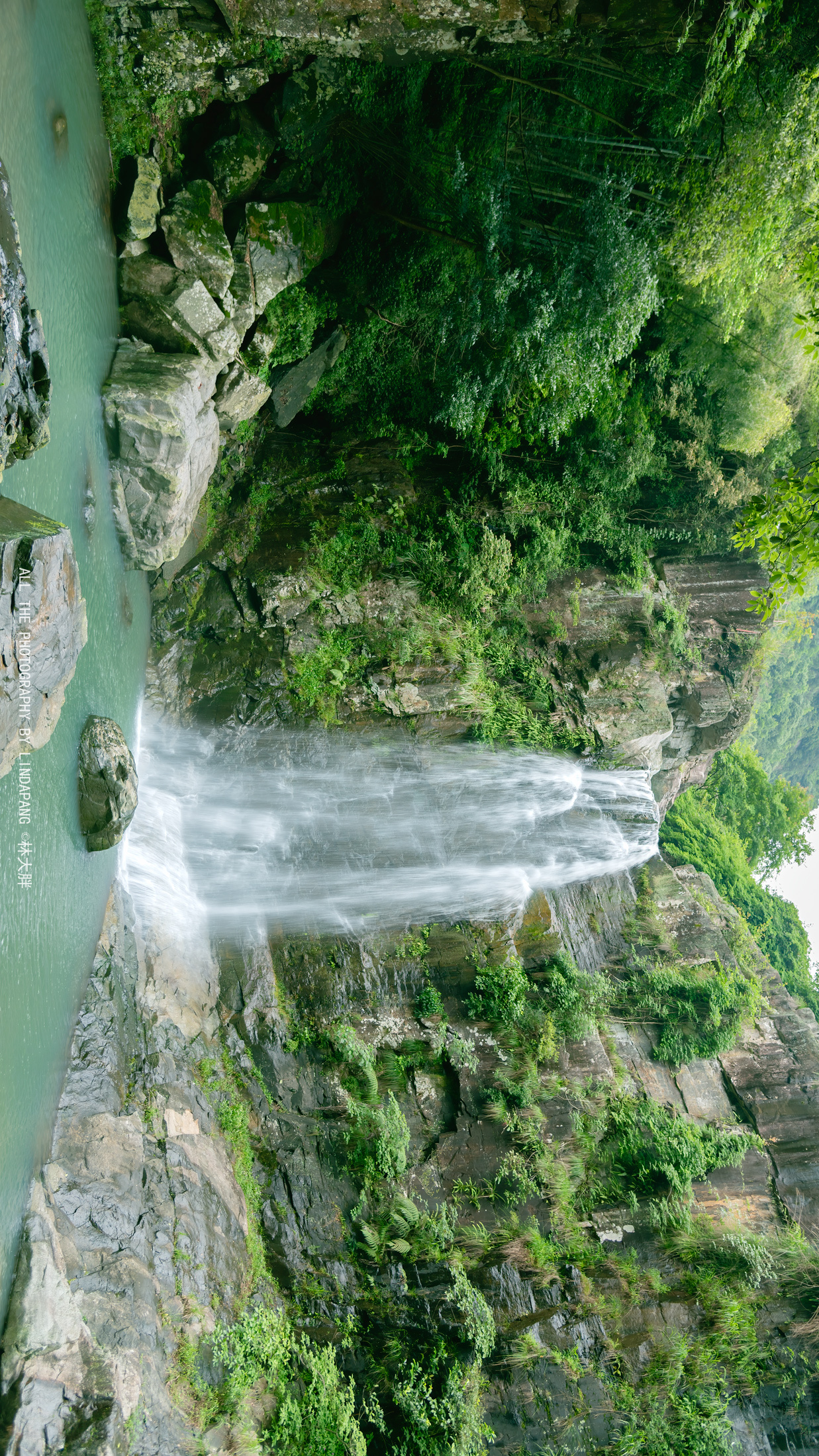 夏日绿色治愈系