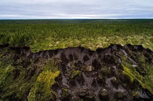 一个古生物重现于世,在冻土冰封4.6万年,专家担忧不好事到来