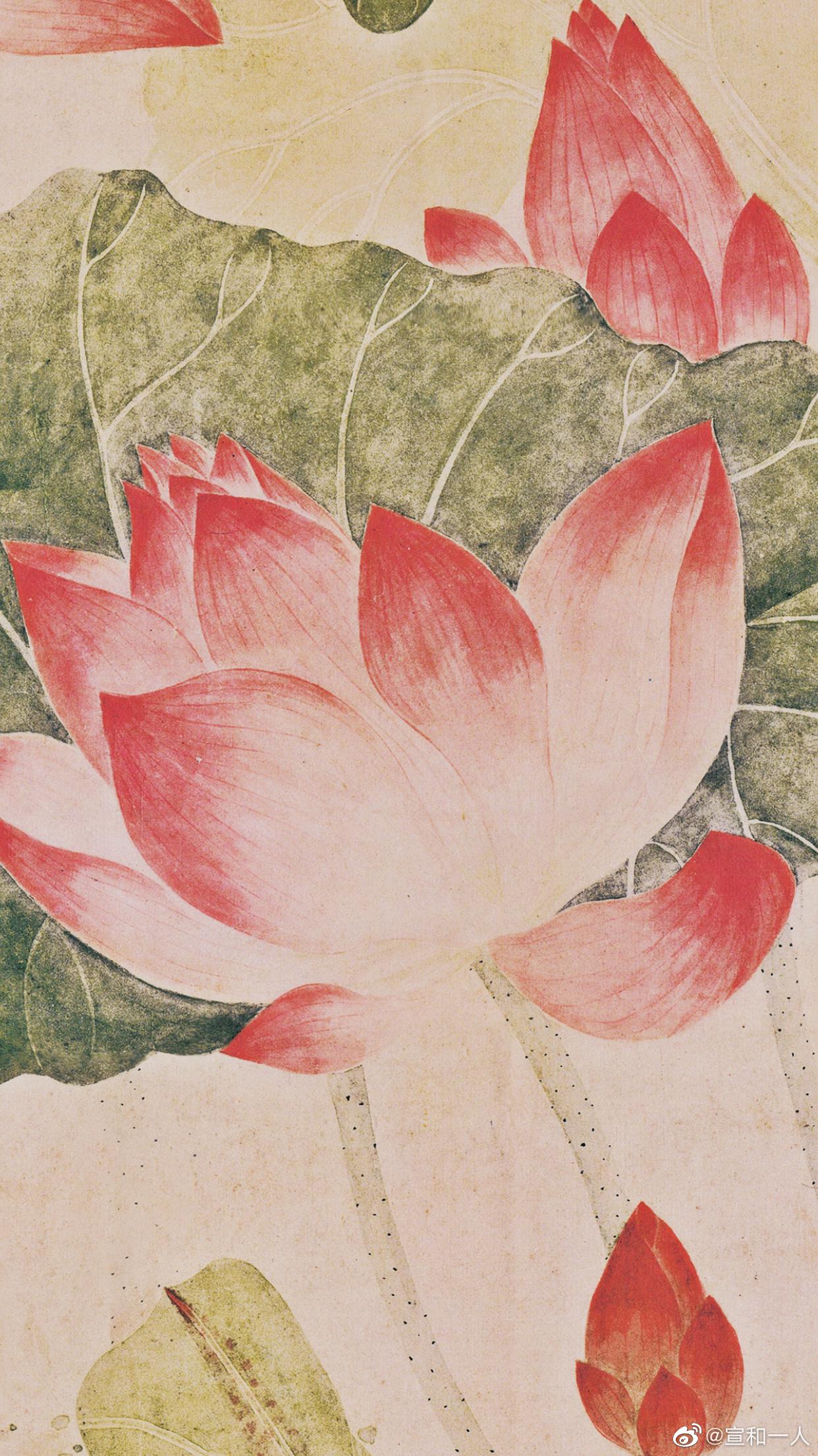 《荷花图》 吴应贞(女) 清 师法恽寿平没骨法……_高清图集_新浪