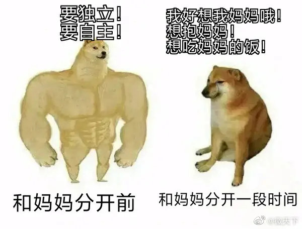 分享一些妈妈meme,坐在工位上的小微开始emo想家了__财经头条