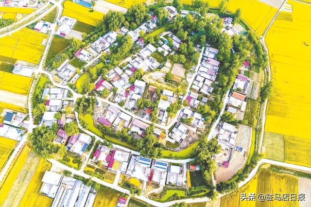 吕格庄seo网站排名