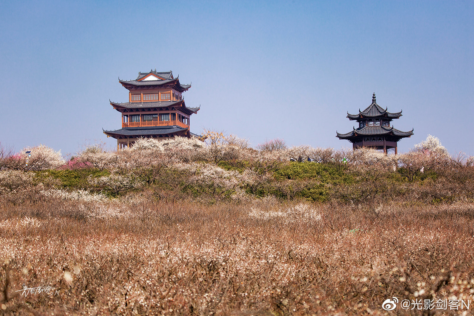 又是一年春意浓,南京溧水傅家边的十里梅林热情绽放……_高清图集