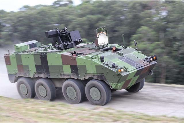 用轮子取代履带,云豹装甲车的前世今生|云豹|步兵战车|装甲车_新浪