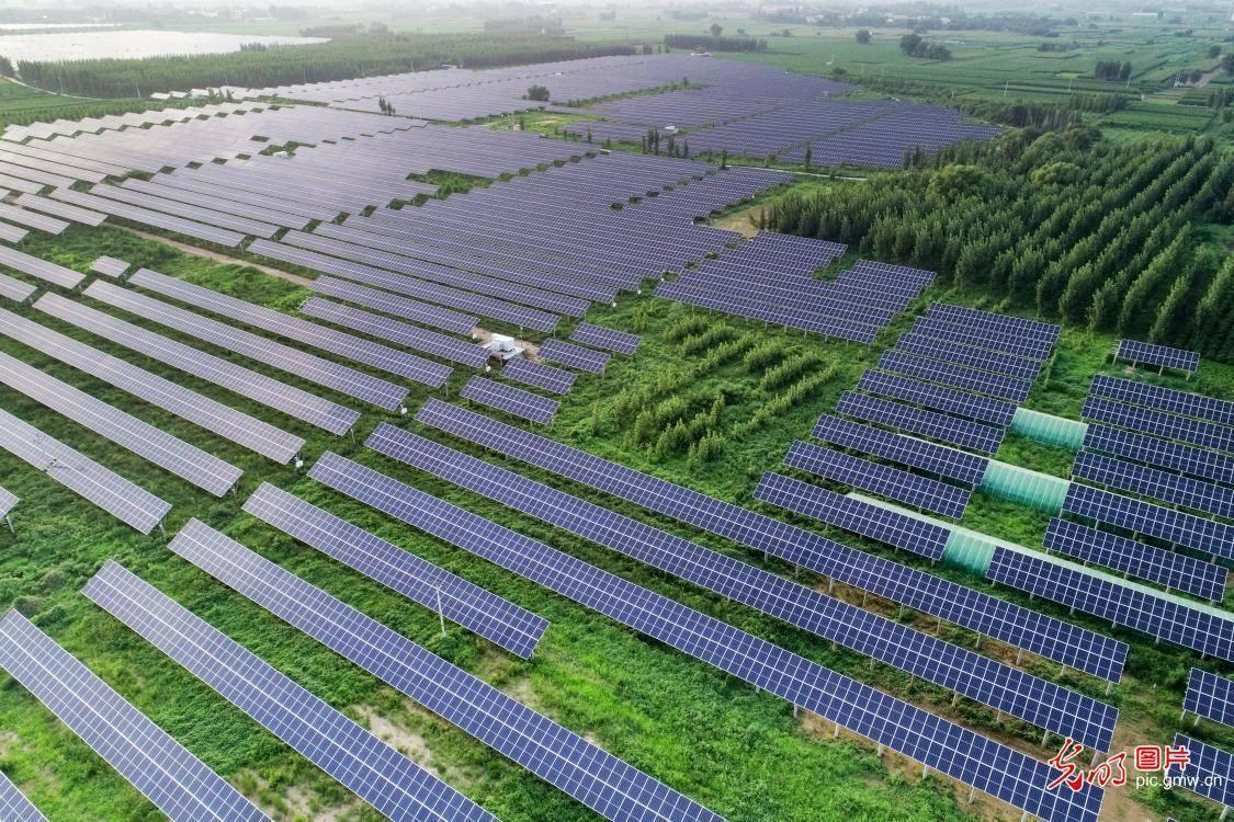 河北平乡农光互补绿色发展