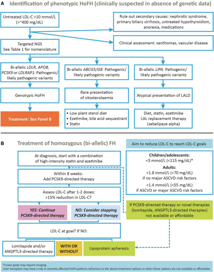 LDL C 10 Mmol L ldl-c-10-mmol-l