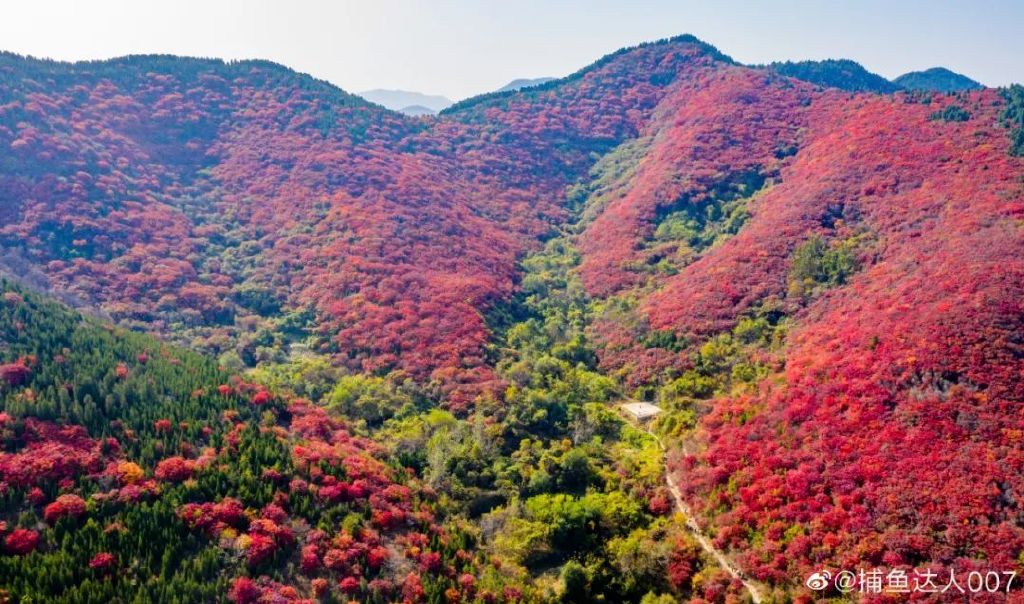济南免费赏红叶“天花板”，盘山+赏红叶，一条线路就go了！休闲区蓝鸢梦想 - Www.slyday.coM