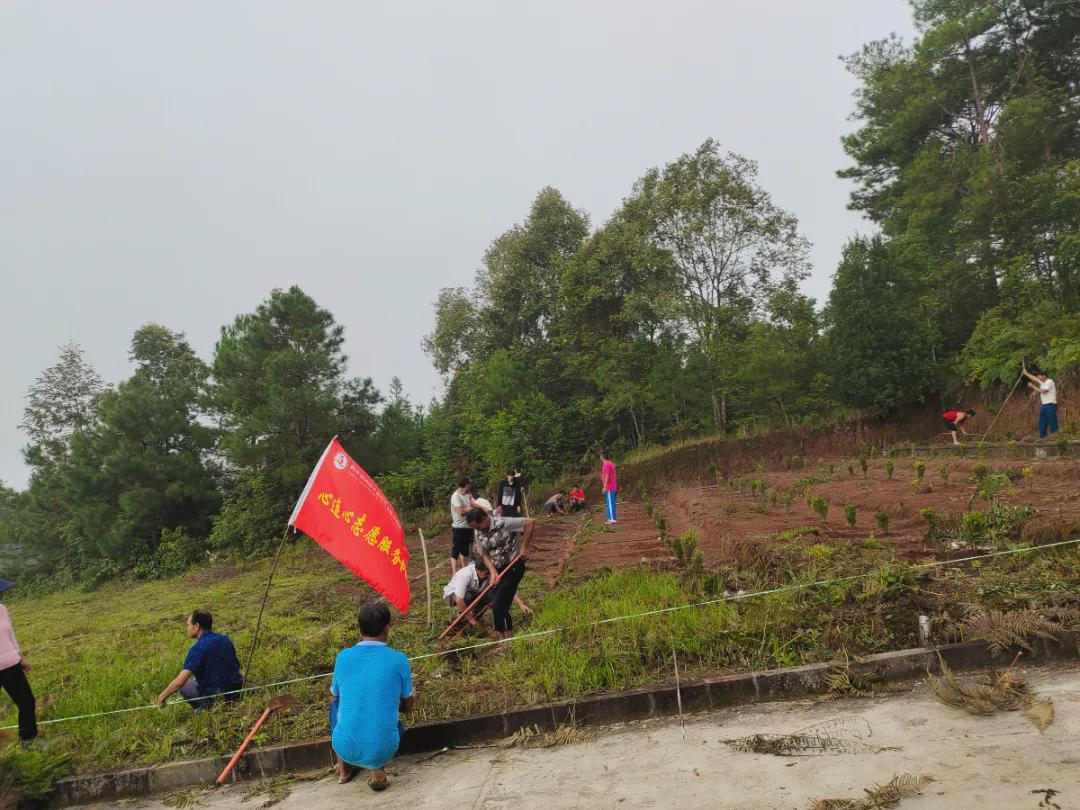腾冲市团田乡四大法宝巧解我为群众办实事