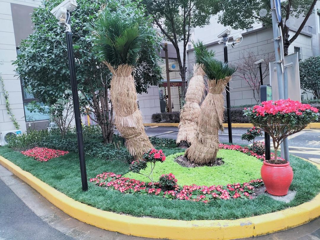 厅"联席平台,在"四位一体"工作例会上明确增加了小区微景观改造项目