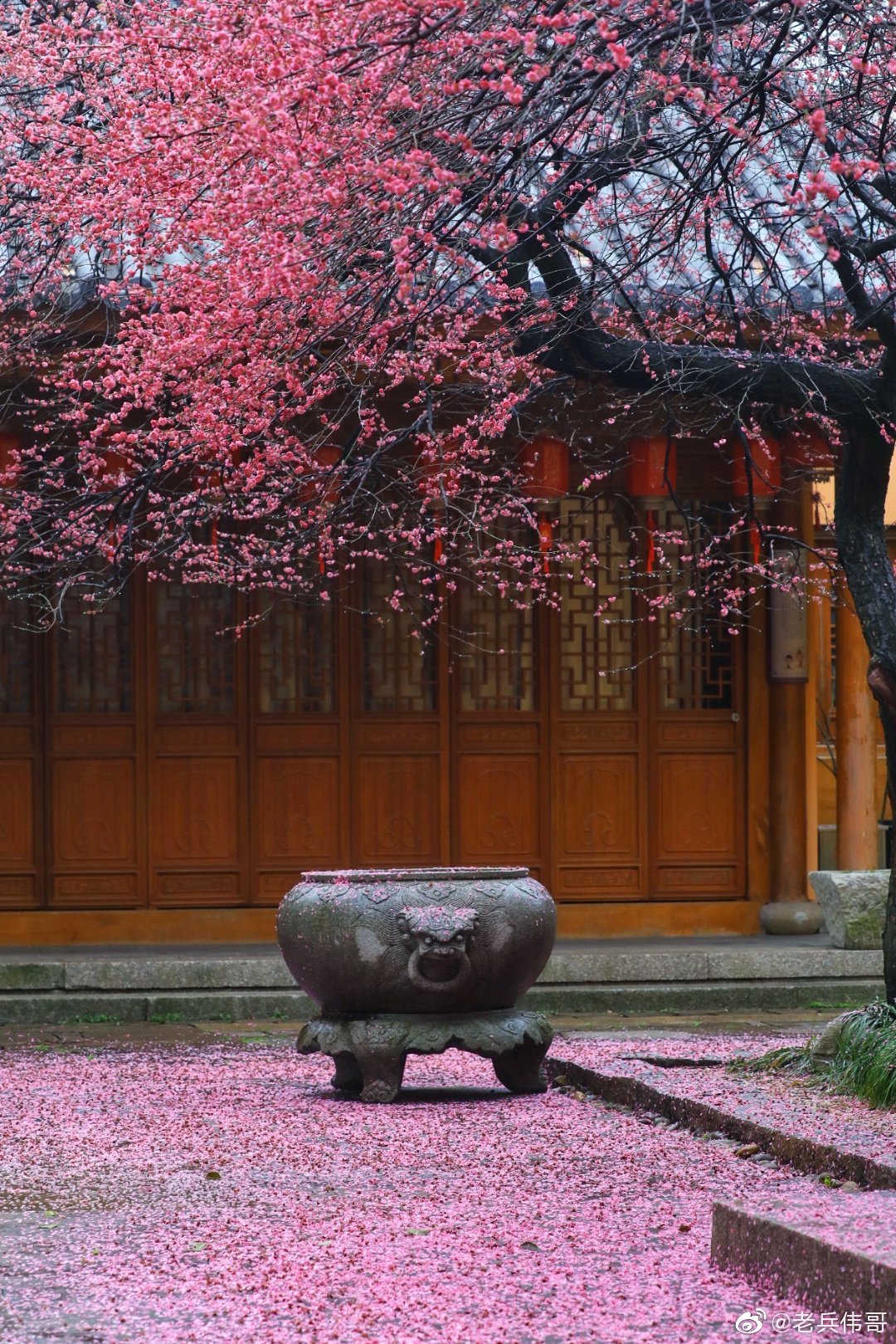 落红不是无情物化作春泥更护花