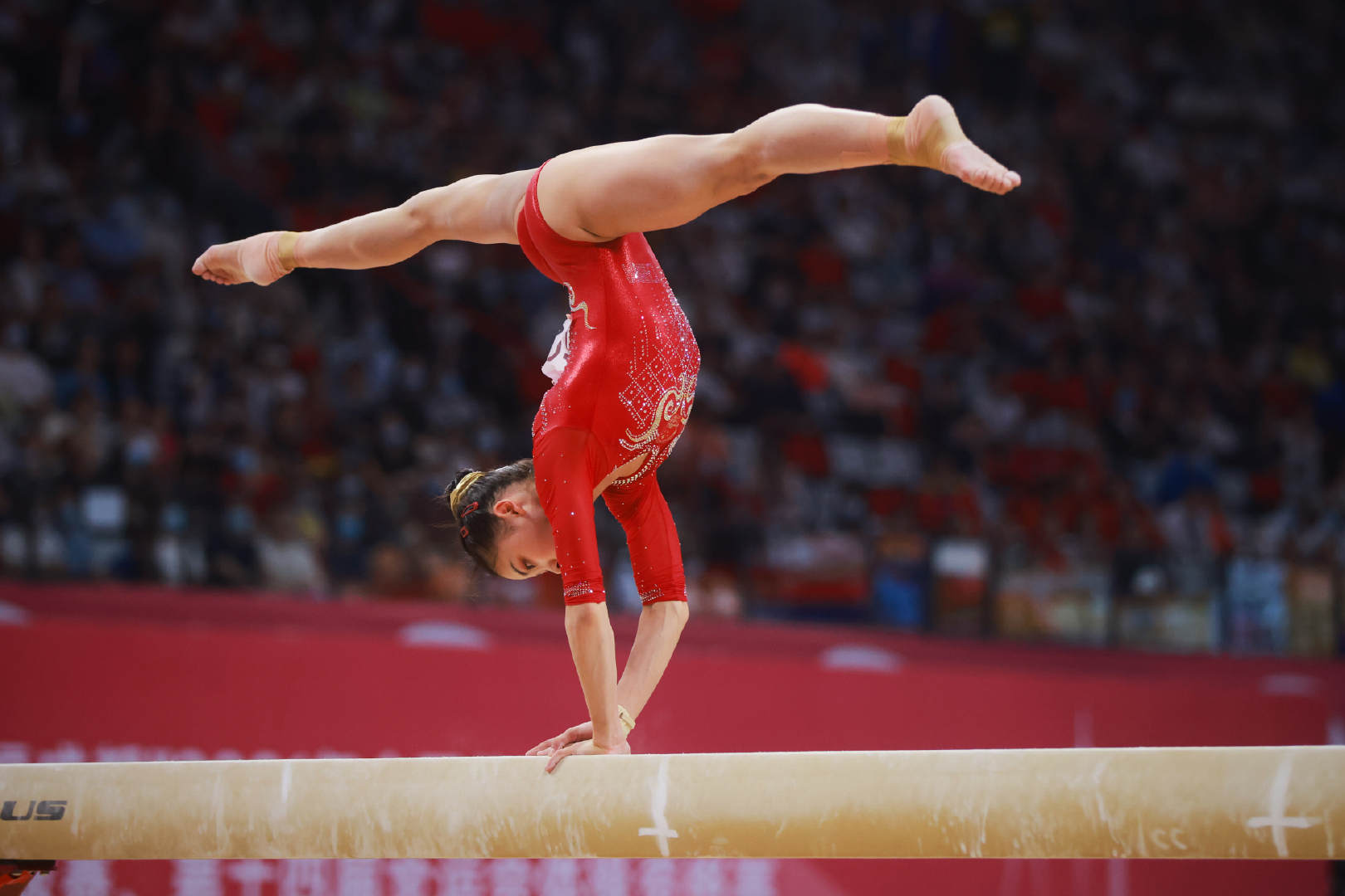 赛,又是全运会预赛,最重要的还是奥运的选拔赛,每个运动员都有压力