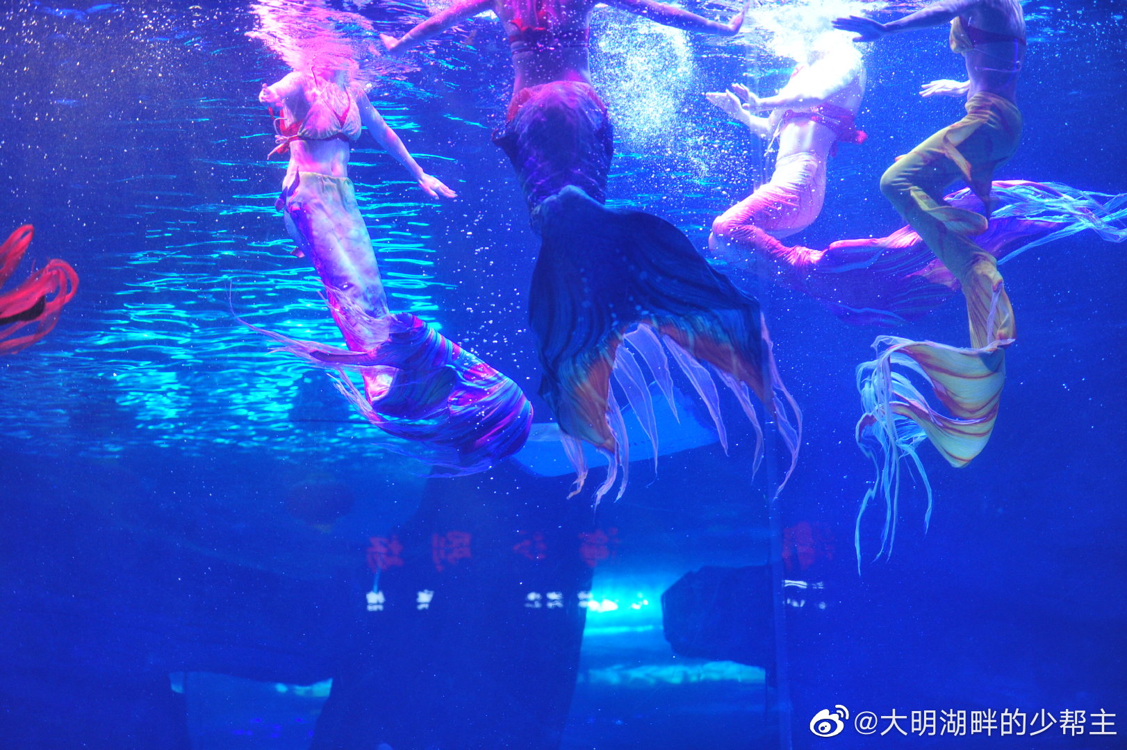 美人鱼啊 电影有没有看