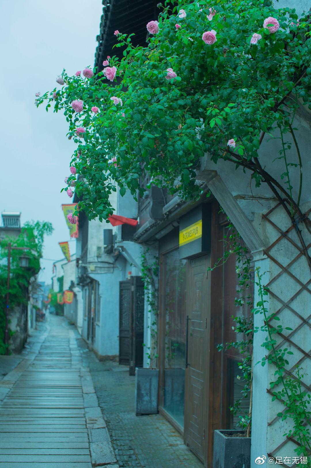 微雨朦胧,醉染江南