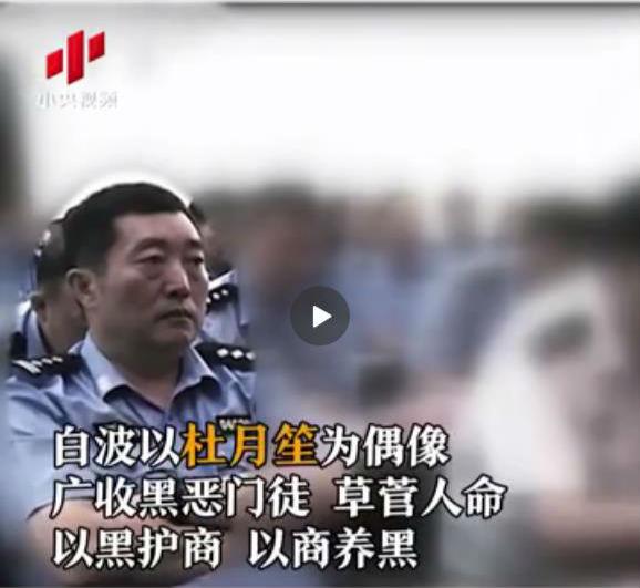 扫黑办主任成黑老大揭秘新疆罕见涉黑大案