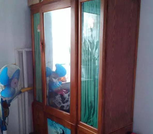 那时几乎家家都有这种带穿衣镜的大立柜,里面装着爸爸妈妈和我们的