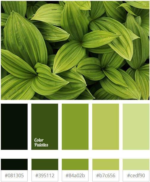 清新的草木绿配色参考__财经头条