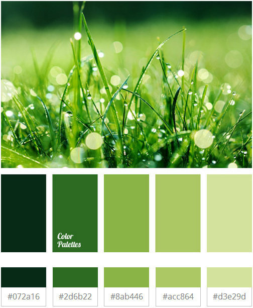 清新的草木绿配色参考__财经头条