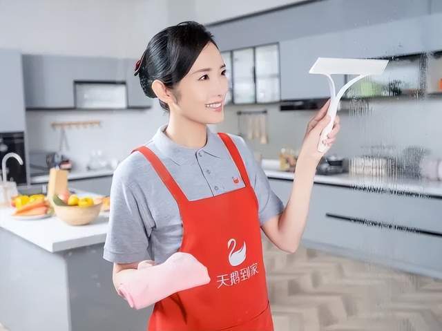 天鹅到家天鹅之星品质化家政的新标杆